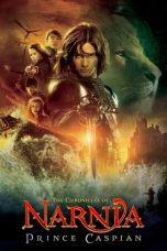 The Chronicles of Narnia: Prince Caspian (2008) BluRay 480p & 720p