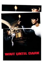 Wait Until Dark (1967) BluRay 480p & 720p Free HD Movie Download