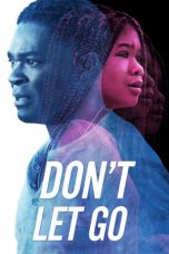 Don't Let Go (2019) BluRay 480p & 720p Movie Download English Sub