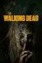 The Walking Dead Season 9 BluRay 480p & 720p HD Movie Download