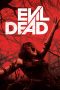 Evil Dead (2013) BluRay 480p & 720p Free HD Movie Download