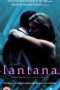 Lantana (2001) WEB-DL 480p & 720p Full HD Movie Download