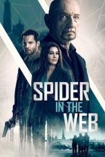 Spider in the Web (2019) BluRay 480p & 720p Full HD Movie Download