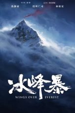 Wings Over Everest (2019) BluRay 480p | 720p | 1080p Movie Download
