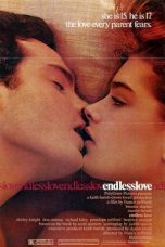 Endless Love (1981) WEB-DL 480p & 720p Free HD Movie Download