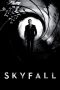 Skyfall (2012) BluRay 480p & 720p Free HD Movie Download