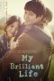 My Brilliant Life (2014) BluRay 480p & 720p Korean Movie Download