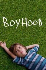 Boyhood (2014) BluRay 480p & 720p Free HD Movie Download