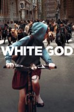 White God (2014) BluRay 480p & 720p Free HD Movie Download