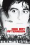 Dog Day Afternoon (1975) BluRay 480p & 720p Free HD Movie Download
