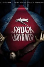 The Shock Labyrinth (2009) BluRay 480p & 720p Movie Download