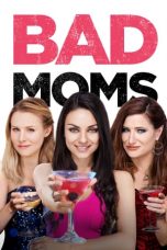 Bad Moms (2016) BluRay 480p & 720p Free HD Movie Download