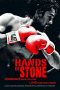 Hands of Stone (2016) BluRay 480p & 720p Free HD Movie Download