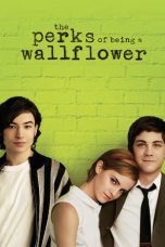 The Perks of Being a Wallflower (2012) BluRay 480p & 720p Download