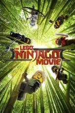 The LEGO Ninjago Movie (2017) BluRay 480p & 720p Movie Download