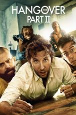 The Hangover Part II (2011) BluRay 480p & 720p Free Movie Download