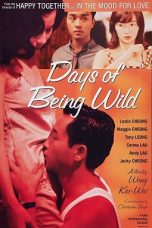 Days of Being Wild (1990) BluRay 480p & 720p Free HD Movie Download
