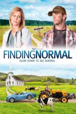 Finding Normal (2013) BluRay 480p & 720p Free HD Movie Download