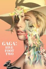 Gaga: Five Foot Two (2017) WEB-DL 480p & 720p Movie Download