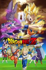 Dragon Ball Z: Battle of Gods (2013) BluRay 480p & 720p Movie Download