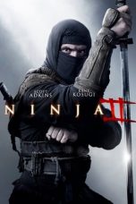 Ninja: Shadow of a Tear (2013) BluRay 480p & 720p Movie Download