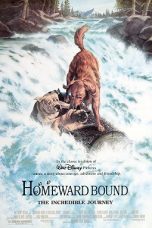 Homeward Bound: The Incredible Journey (1993) BluRay 480p & 720p