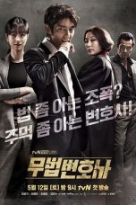 Lawless Lawyer Season 1 WEB-DL 480p & 720p Movie Download