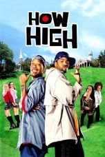 How High (2001) WEBRip 480p & 720p Free HD Movie Download