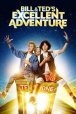 Bill & Ted’s Excellent Adventure (1989) BluRay 480p & 720p Download