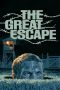 The Great Escape (1963) BluRay 480p & 720p Free HD Movie Download