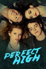 Perfect High (2015) WEBRip 480p & 720p Free HD Movie Download