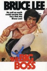 The Big Boss (1971) BluRay 480p & 720p Chinese Movie Download