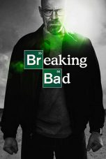 Breaking Bad Season 1-5 BluRay 480p & 720p Free HD Movie Download