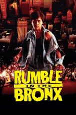 Rumble In The Bronx (1995) BluRay 480p & 720p Movie Download