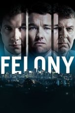 Felony (2013) BluRay 480p & 720p Free HD Movie Download