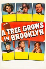 A Tree Grows in Brooklyn (1945) BluRay 480p | 720p | 1080p Movie Download
