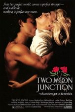 Two Moon Junction (1988) BluRay 480p & 720p Free HD Movie Download