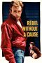 Rebel Without a Cause (1955) BluRay 480p & 720p Movie Download