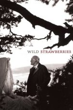 Wild Strawberries (1957) BluRay 480p & 720p Free HD Movie Download