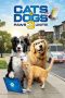 Cats & Dogs 3: Paws Unite (2020) BluRay 480p & 720p Movie Download