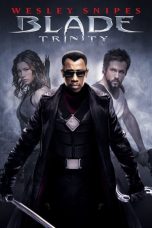 Blade: Trinity (2004) BluRay 480p | 720p | 1080p Movie Download
