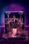 The Special (2020) BluRay 480p | 720p | 1080p Movie Download