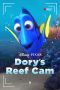 Dory’s Reef Cam (2020) WEBRip 480p, 720p & 1080p Movie Download