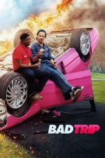 Bad Trip (2020) WEBRip 480p, 720p & 1080p Mkvking - Mkvking.com