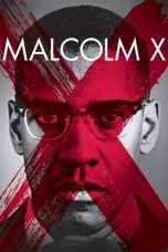 Malcolm X (1992) BluRay 480p, 720p & 1080p Mkvking - Mkvking.com