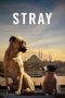 Stray (2020) BluRay 480p, 720p & 1080p Mkvking - Mkvking.com