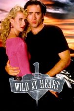 Wild at Heart (1990) BluRay 480p, 720p & 1080p Mkvking - Mkvking.com