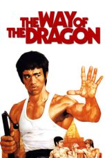 The Way of the Dragon (1972) BluRay 480p, 720p & 1080p Mkvking - Mkvking.com
