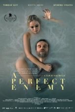 A Perfect Enemy (2020) BluRay 480p, 720p & 1080p Mkvking - Mkvking.com