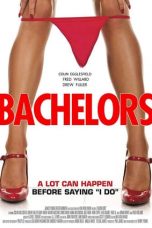 Bachelors (2015) WEBRip 480p, 720p & 1080p Mkvking - Mkvking.com
